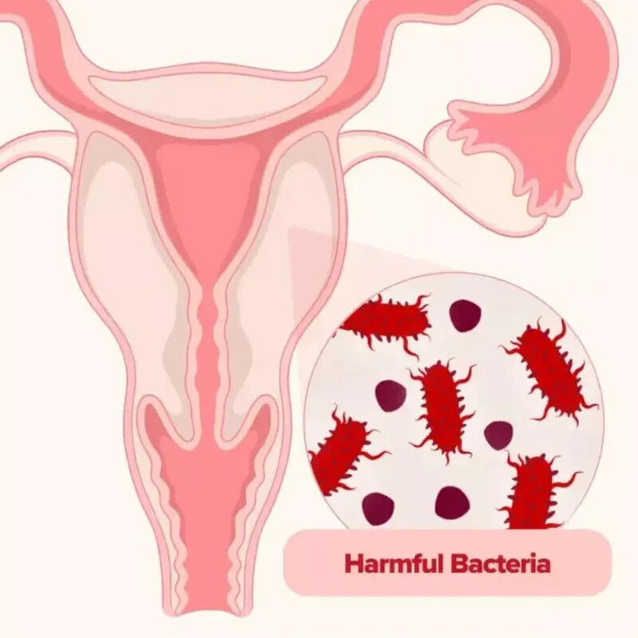 Cápsulas URO Probiótico
