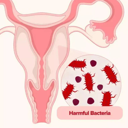 Cápsulas URO Probiótico